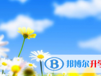 2021年宜賓中考怎么填志愿才可以上到好的學校