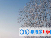 2021年宜賓怎樣中考正常發揮