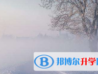 2021年宜賓怎么寫中考自薦書