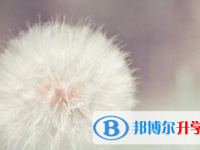 2021年宜賓中考準(zhǔn)考證丟了怎么辦