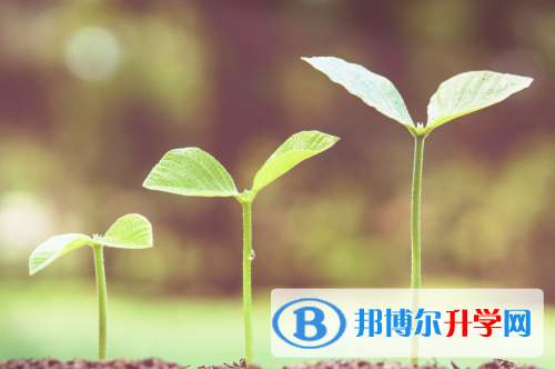 2021年雅安什么是中考調劑生