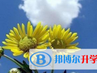 2021年宜賓中考沒(méi)考好