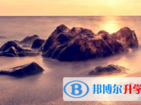 2021年宜賓中考有不有補(bǔ)錄