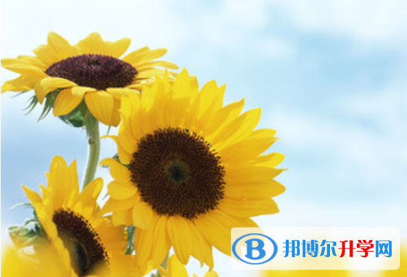 2021年廣元中考網絡登錄