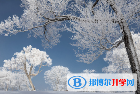 2021年雅安中考調劑志愿