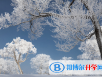 2021年雅安中考調劑志愿