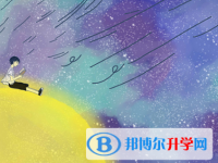 2021年雅安中考報名網址