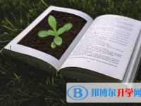2021年資陽查詢中考成績