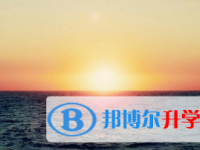 2021年宜賓中考的統招和調劑說明