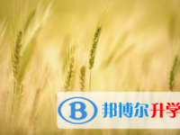 2021年宜賓中考報名學(xué)校