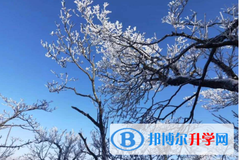 2021年資陽中考成績查詢系