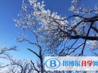 2021年資陽中考成績查詢系