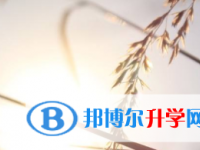 2021年宜賓中考報名服務(wù)平臺