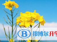 2021年宜賓中考報名