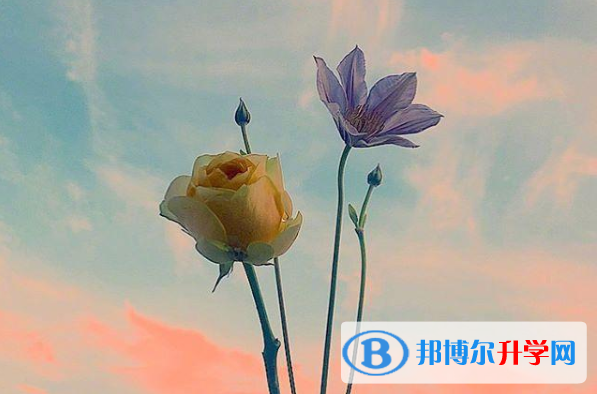 2021年廣元中考網上報名系統