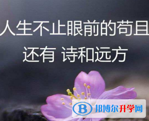2021年資陽各個學校中考錄取線