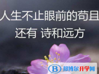 2021年資陽(yáng)各個(gè)學(xué)校中考錄取線(xiàn)