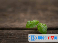 2021年資陽有多少中考生落榜