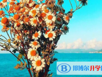 2021年廣元中考網上學校