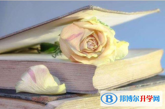 2021年廣元中考網中考查詢