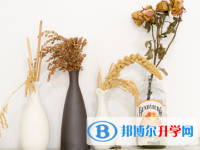 2021年資陽中考服務應用平臺
