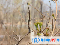 2021年資陽中考成績什么時候公布