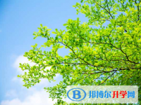 2021年資陽中考查詢系統的密碼記不到了怎么辦
