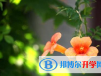 2021年資陽中考查詢網址
