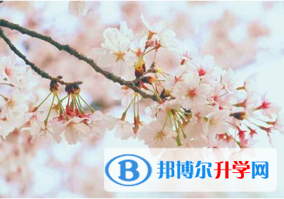 2021年資陽中考查詢網