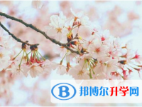2021年資陽中考查詢網