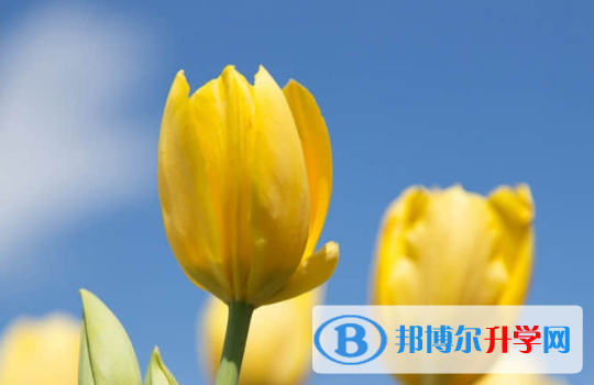 2021年資陽中考查詢電話
