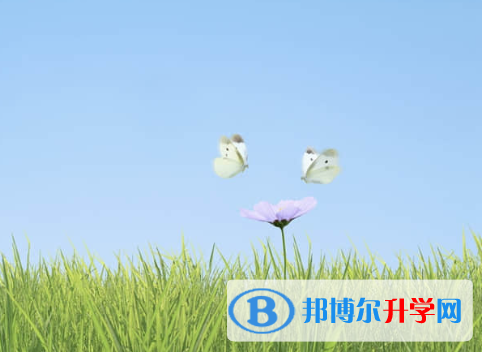 2021年資陽中考報名需要帶什么