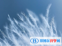 2021年阿壩中考可以報哪些學校