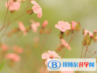 2021年阿壩中考考生人數