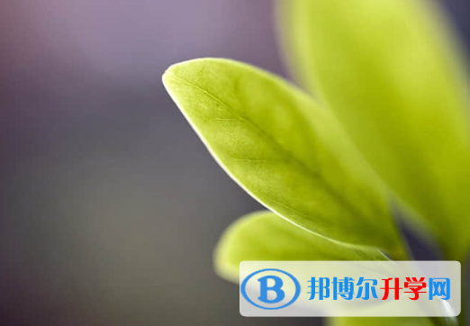 2021年阿壩中考考點有哪幾個