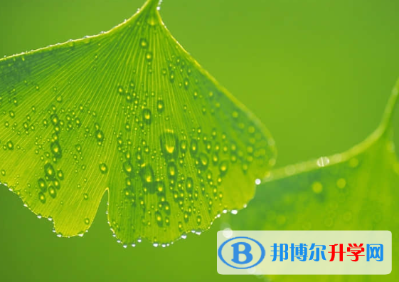 2021年阿壩中考考點(diǎn)