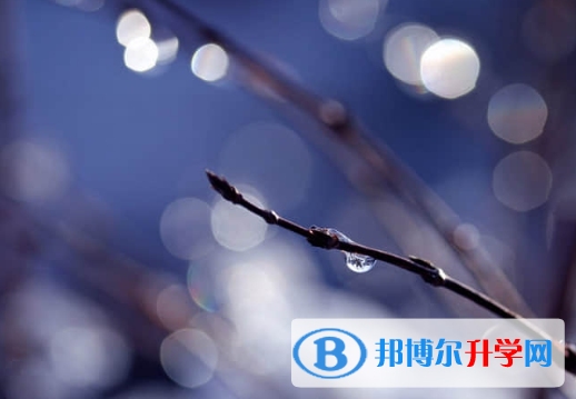 2021年資陽中考后如何錄取