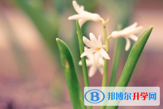 2021年資陽(yáng)中考后多久可以查詢