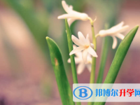 2021年資陽中考后多久可以查詢