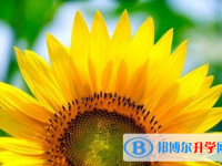 2021年廣元中考線預測
