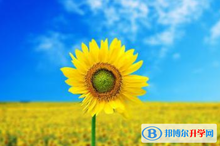 2021年廣元中考信息服務平臺