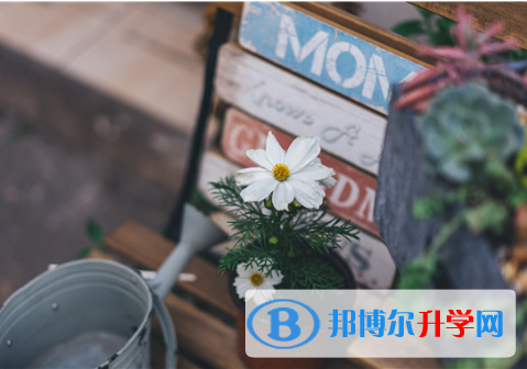 2021年阿壩中考民辦學校