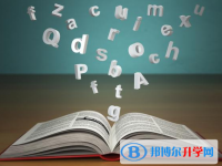 2021年阿壩中考錄取規劃線
