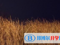 2021年宜賓中考招生考試查詢系統