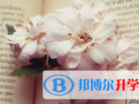 2021年宜賓中考網上報考信息平臺