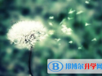 2021年阿壩中考填志愿統招和調劑