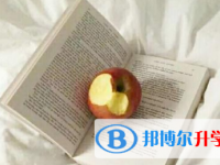2021年宜賓中考網絡平臺