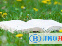 2021年宜賓中考網絡服務應用平臺