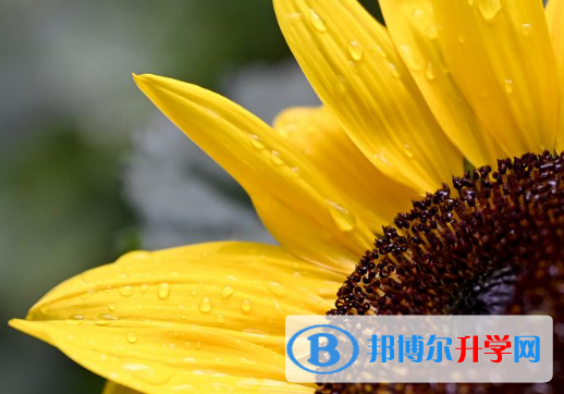 2021年阿壩中考時(shí)間表