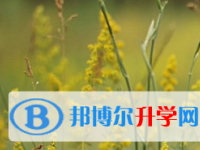 2021年宜賓中考網絡登錄